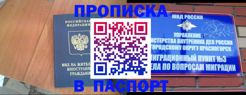 найти адрес прописки в Оленегорске